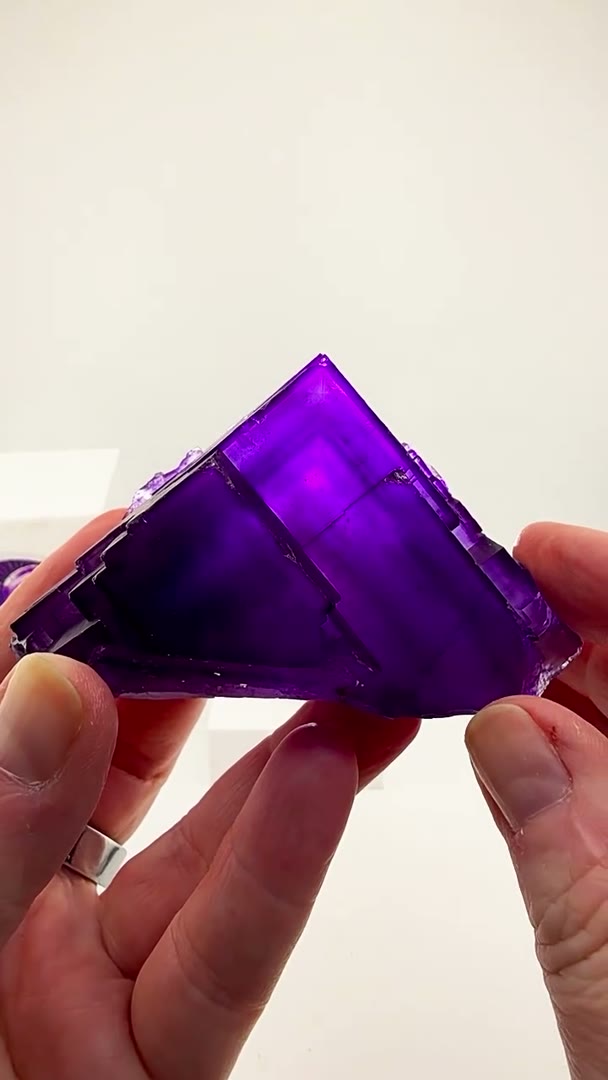 Illinois royalty in deep violet form