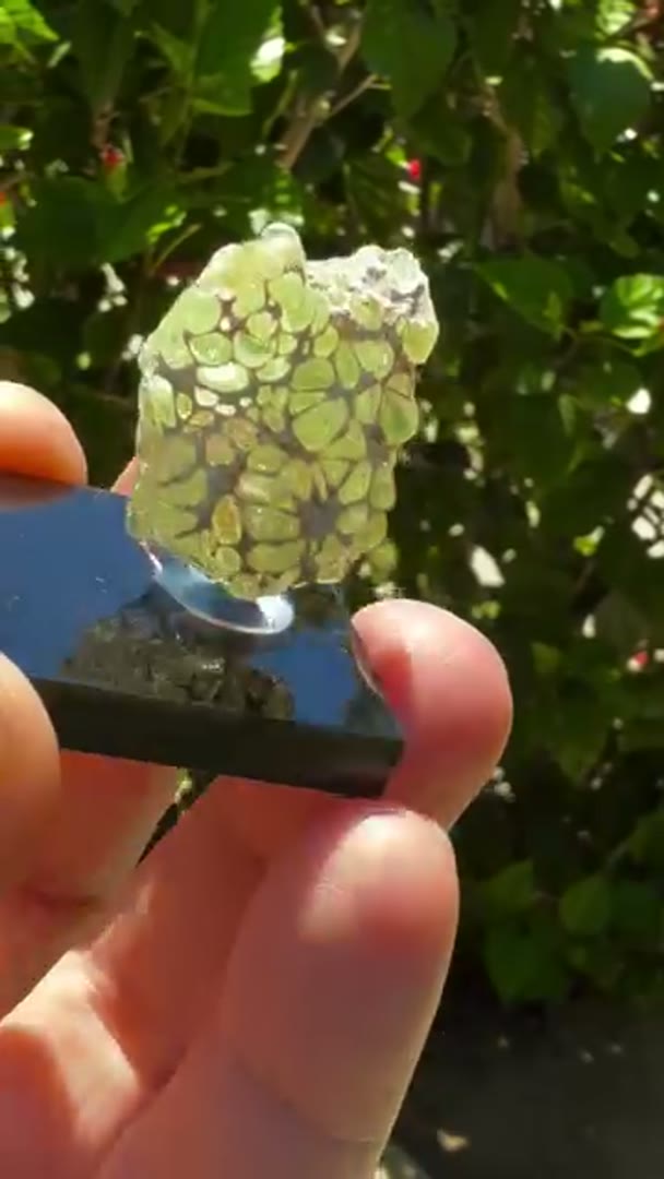 Daylight reactive Hyalite Opals from Mexico