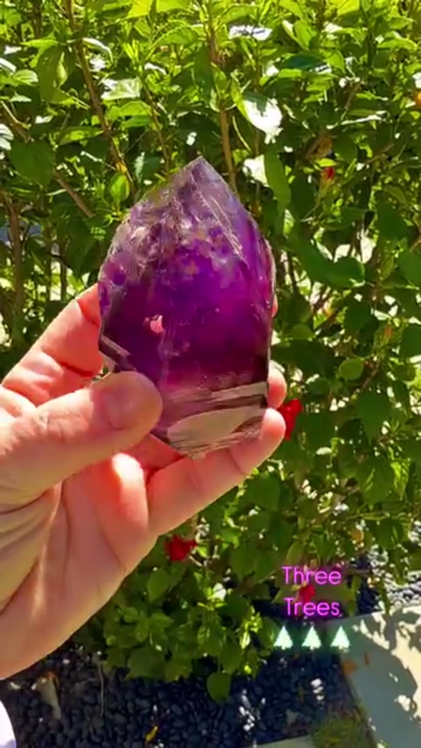 Three Trees Juice Bomb