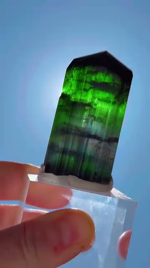 Beast Mode  Tourmaline Tuesday