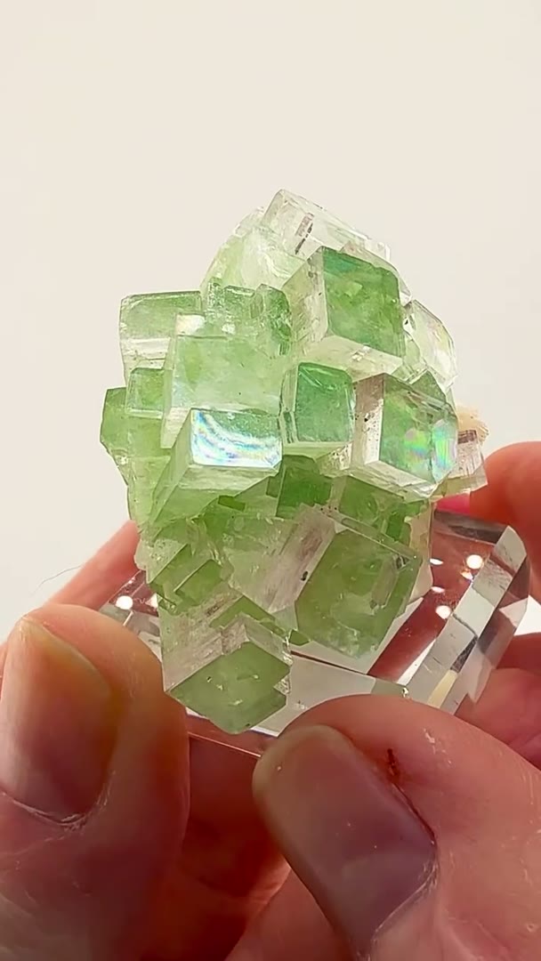 Mint-green perfection from India