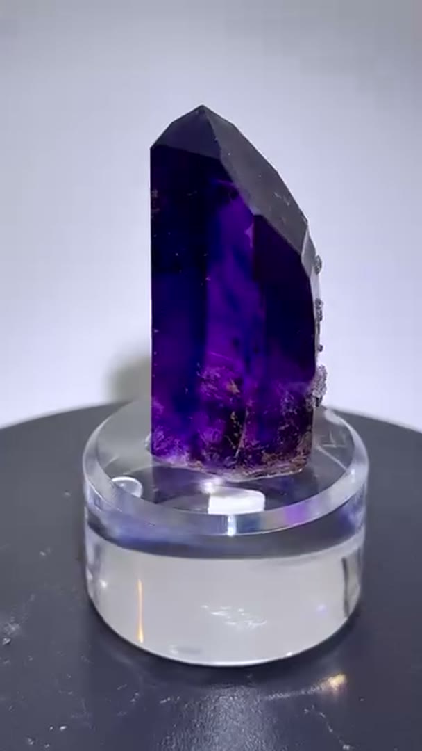Absolute Gem BUKS CLAIM Amethyst