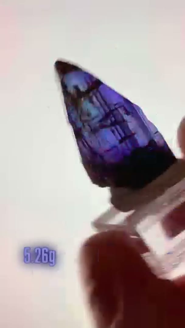 New top quality Tanzanite arrival with sick Pleo