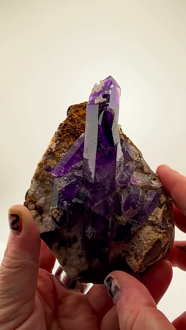BLURPLE PERFECTION DT FROM THE BUKS CLAIM