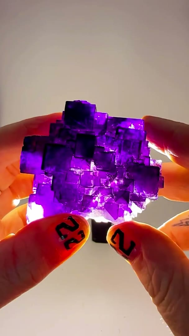 XINJIANG PURPLE PERFECTION