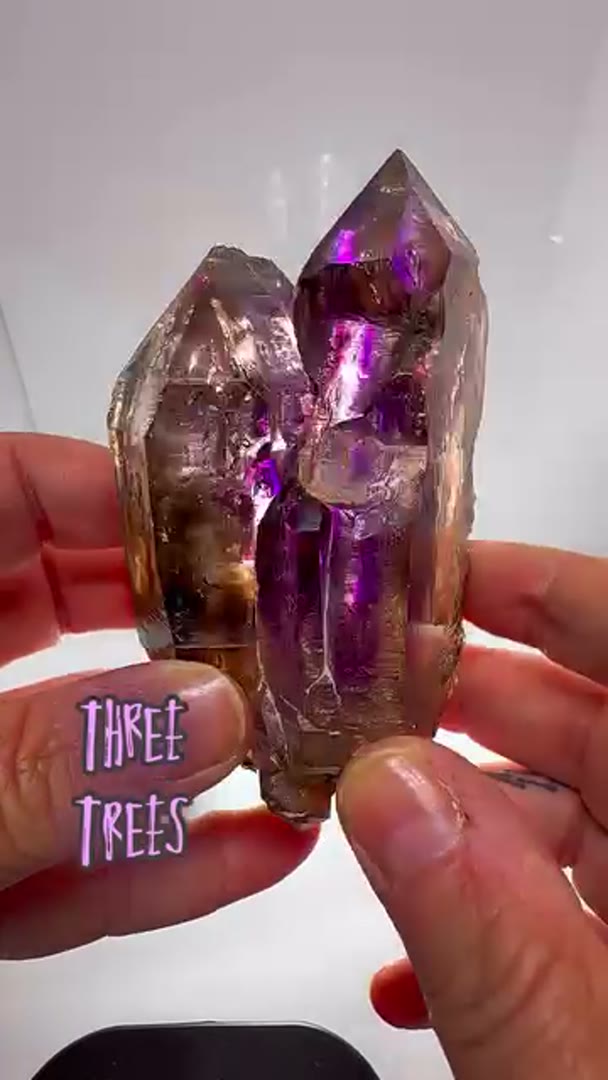 Three Trees Beauty