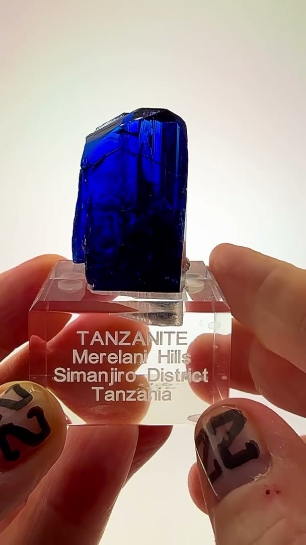 Royal Blue Royalty