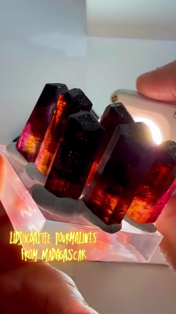 151+ grams of Liddicoatite Tourmalines from Madagascar have arrived and…