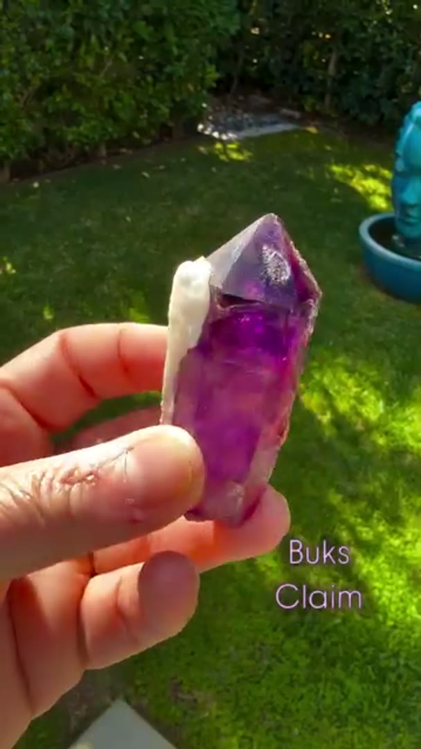 Some BUKS CLAIM Amethyst BEAUTIES