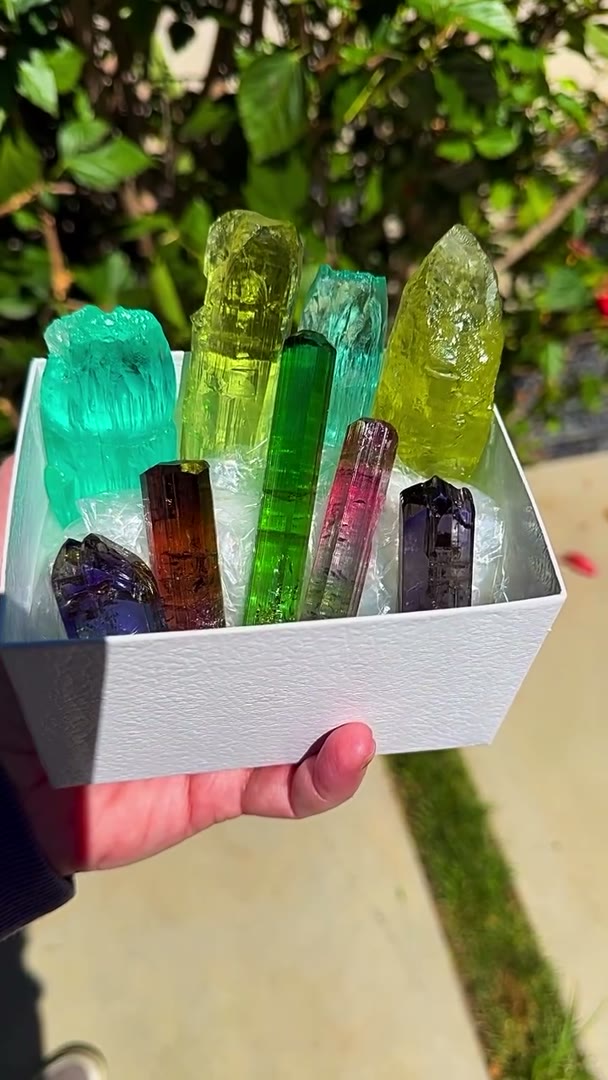 A box full of heavy hitters