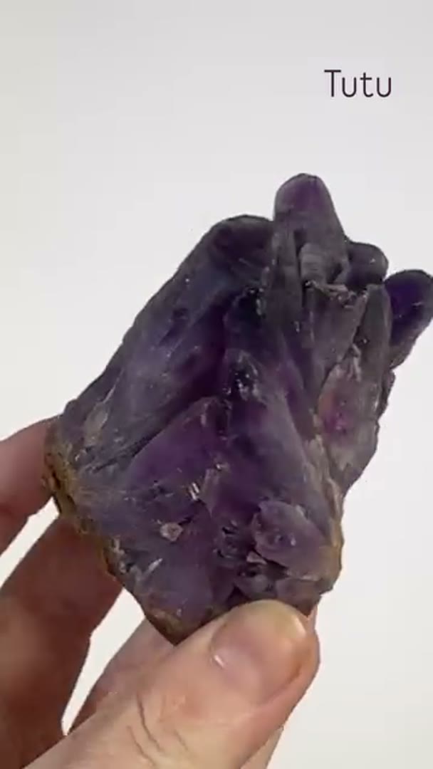 TUTU Amethyst