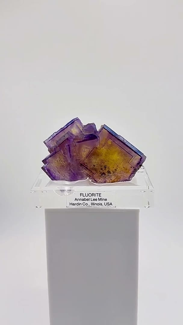 Purple. Gold. Blue. Glass