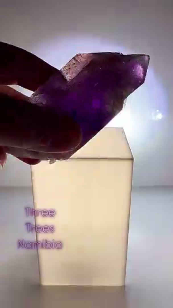 Banger Three Trees from