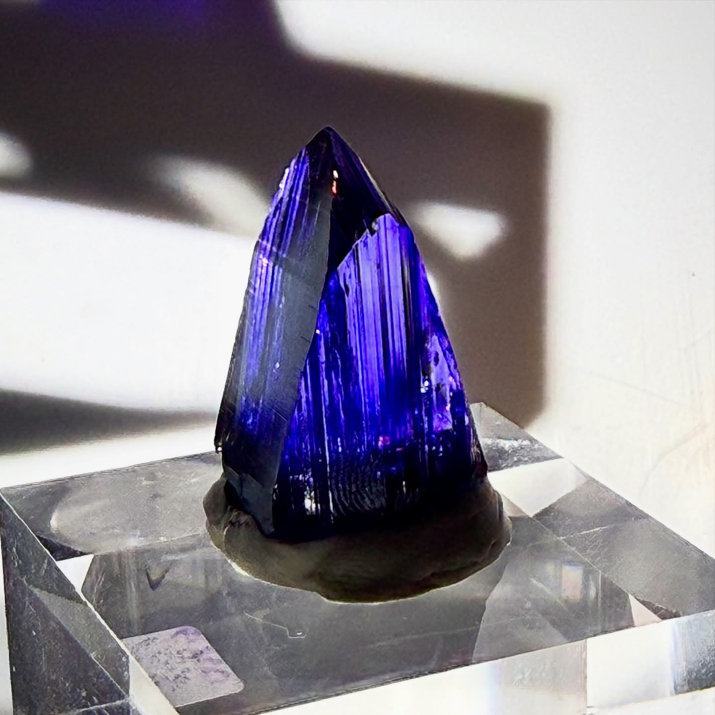 Absolute Next Level  TANZANITE  NFS