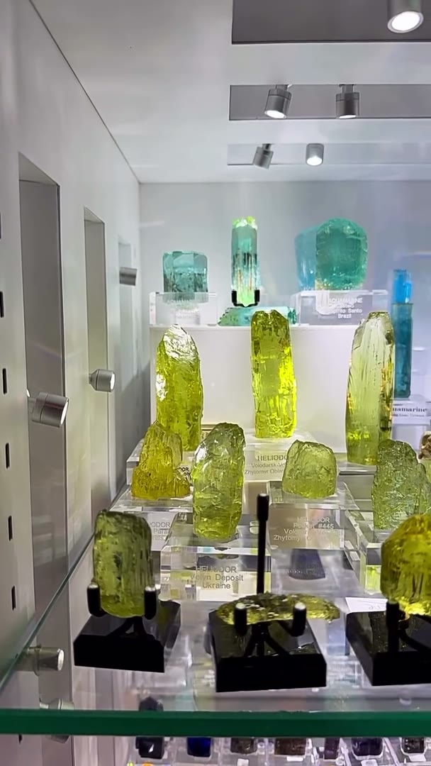 This is the top shelf of one of my display cases, and every specimen here…