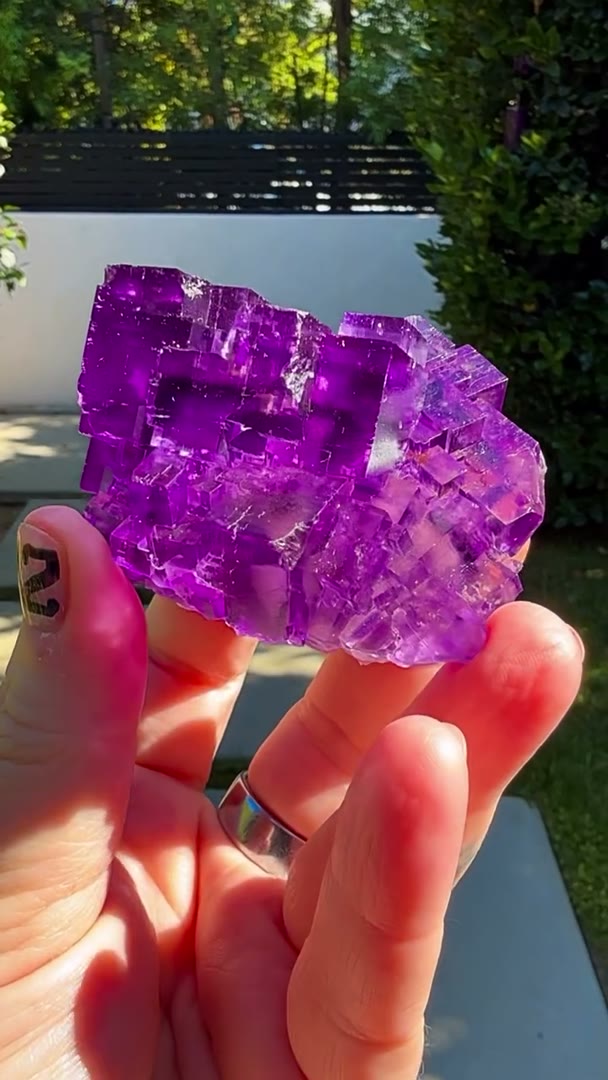 Electric Glassy grape   perfection