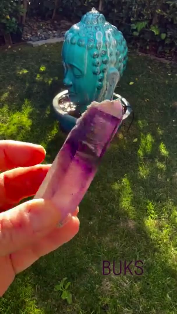 Absolute Gem BUKS CLAIM Amethyst