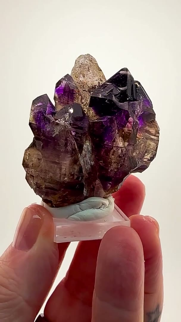 BRANDBERG BLURPLE PERFECTION