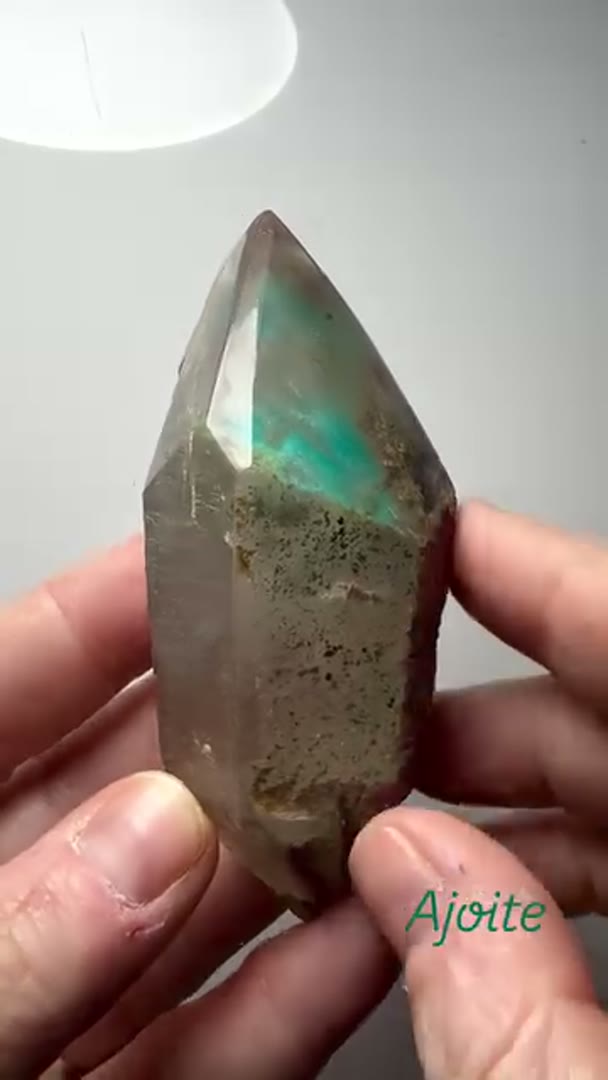 NEW AJOITE ARRIVALS