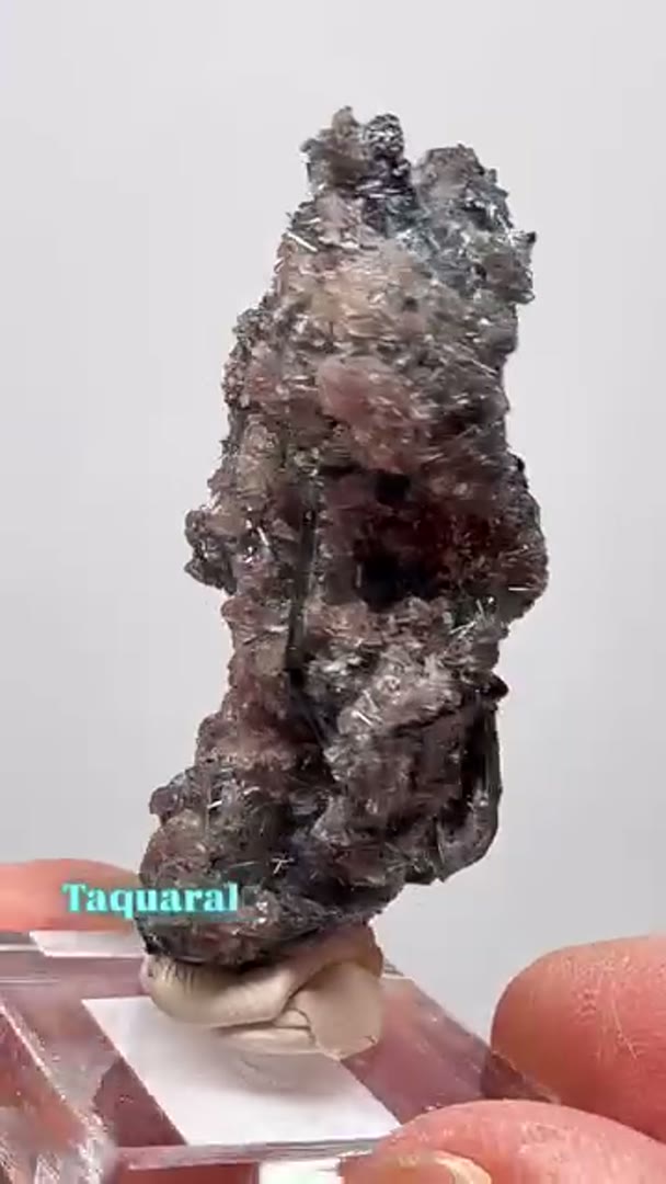 Tourmaline cluster with Lepidolite from Taquaral