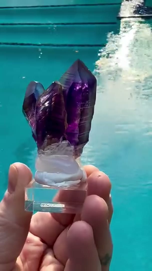 That Namibian Purps