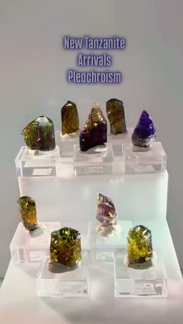 New Tanzanite Arrivals with that Pleo
