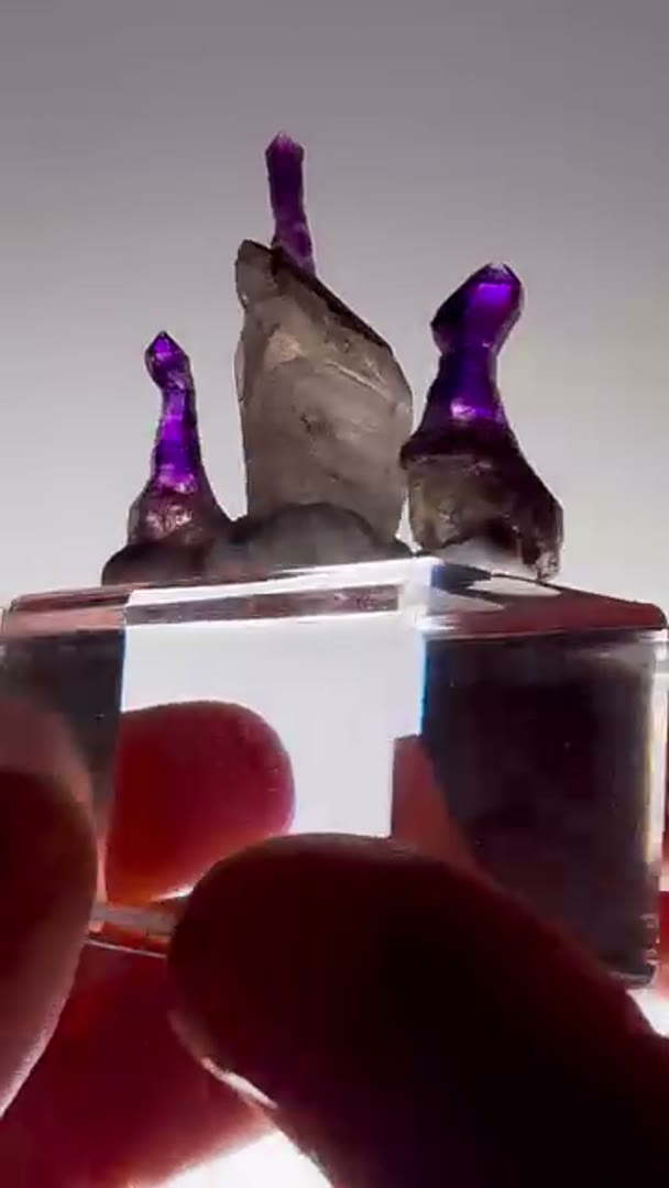 Some lil banger Goboboseb reverse scepters