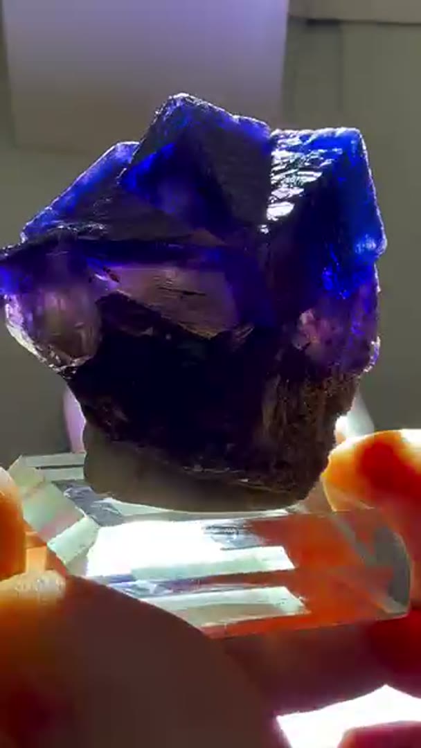 Newly acquired Stunner Denton Mine Fluorite Hardin County, IL. from the good…