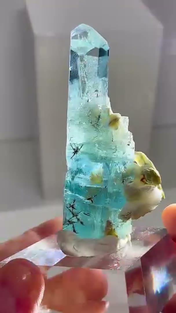 Now that’s an AQUA!!!