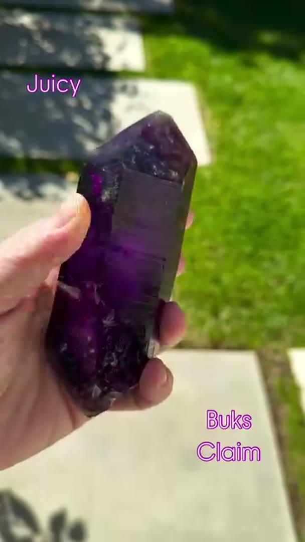 Absolute Gem BUKS CLAIM Amethyst