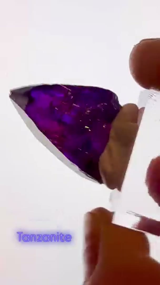 Absolute stunna (SOLD)