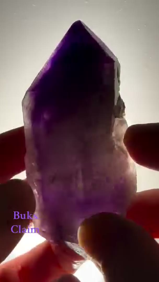 Absolute Juicy BUKS CLAIM Amethyst