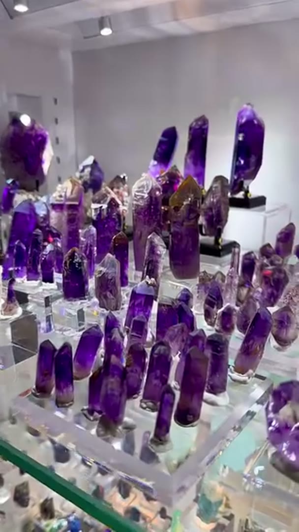 PURPLE NAMIBIA ADDICTED