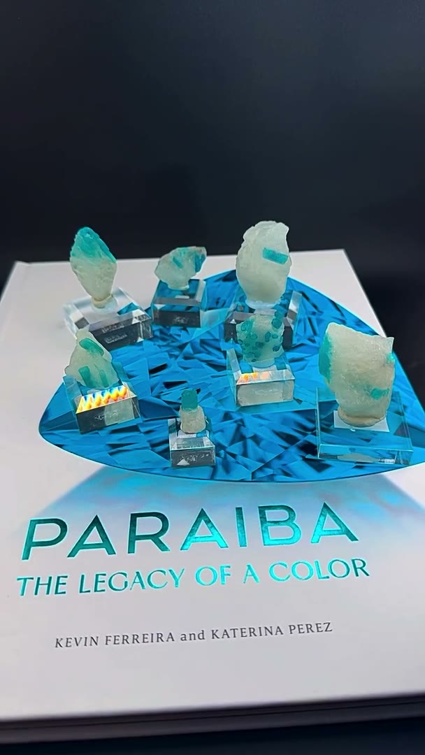 PARAÍBA royalty resting on the pages that helped tell its story