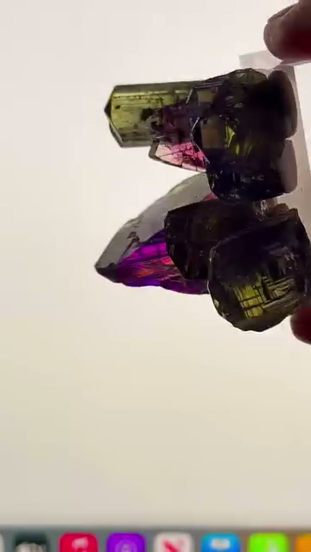 New Tanzanite Arrivals with that sick Pleo