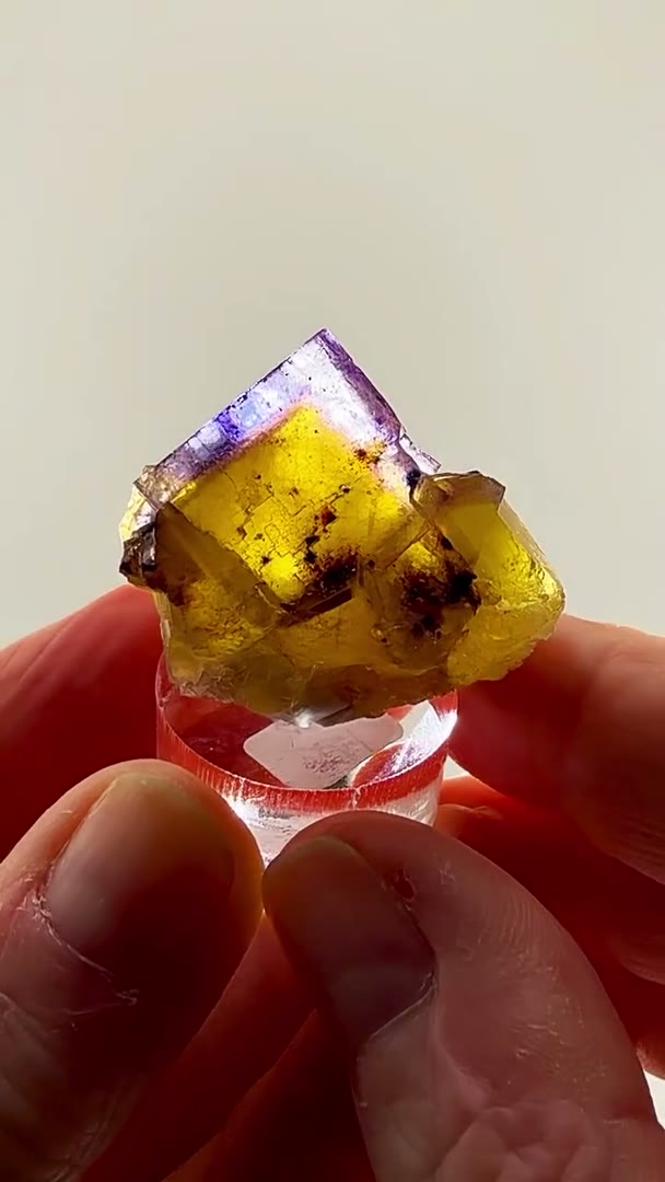 Illinois fluorite royalty with collector pedigree