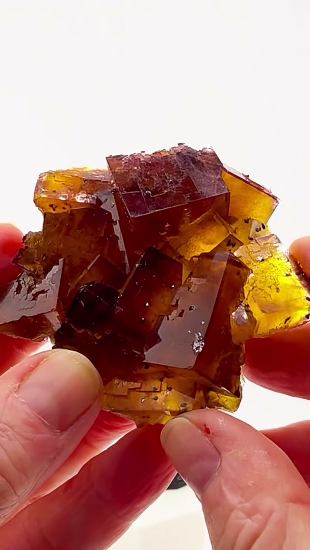 Knicks up 2-0 in the Finals and somehow this Illinois fluorite is still…
