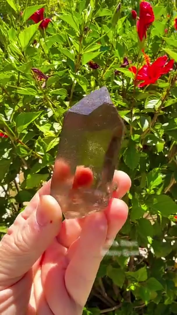 Smoky quartz from the Mont Blanc Massif, France, is prized for its unique…
