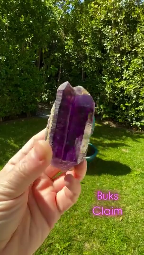 Absolute Juicy BUKS CLAIM Amethyst
