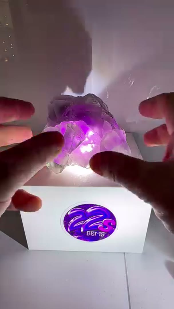 The purps