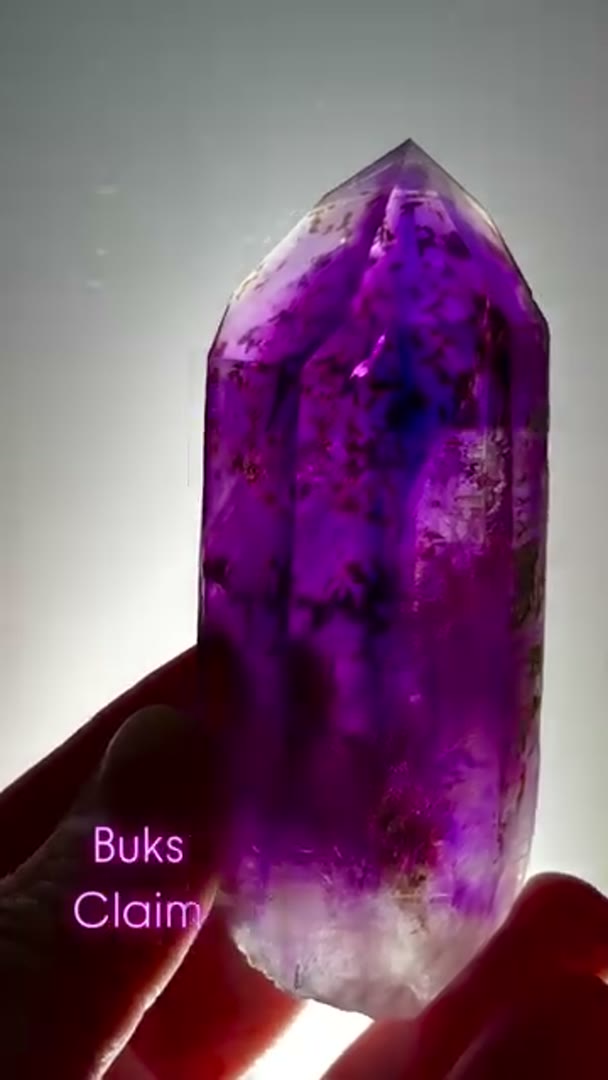 Absolute Juicy BUKS CLAIM Amethyst