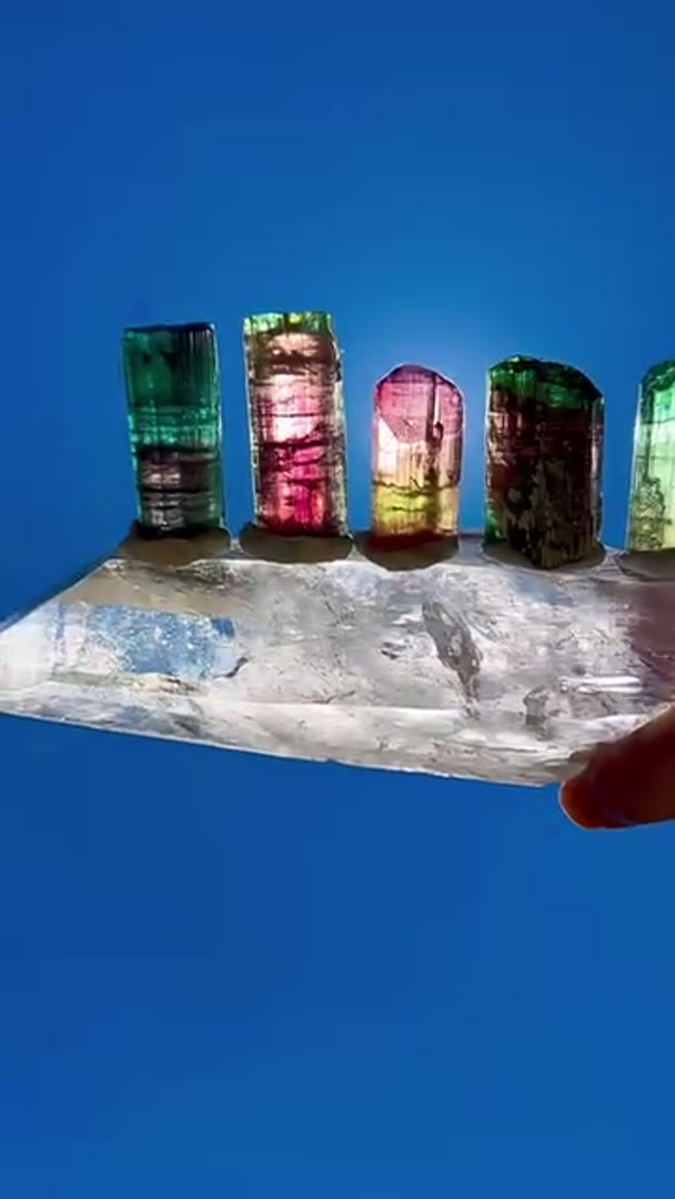Tourmaline Tribe