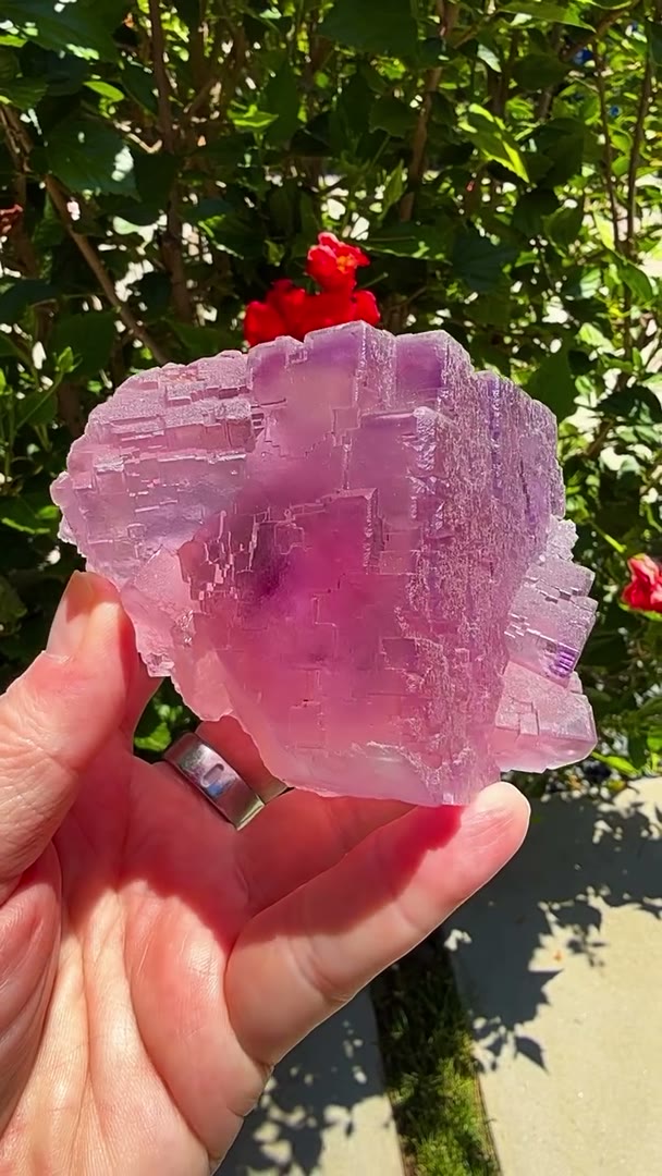 Palm trees, sunshine, and a piece of fluorite history
