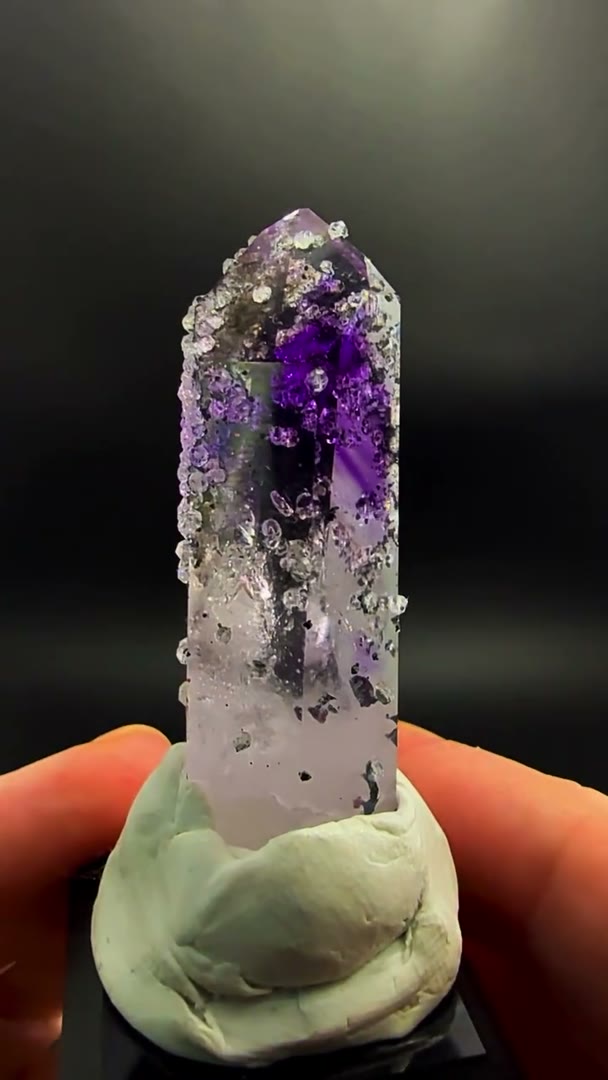 Some specimens demand your attention… this one owns the room