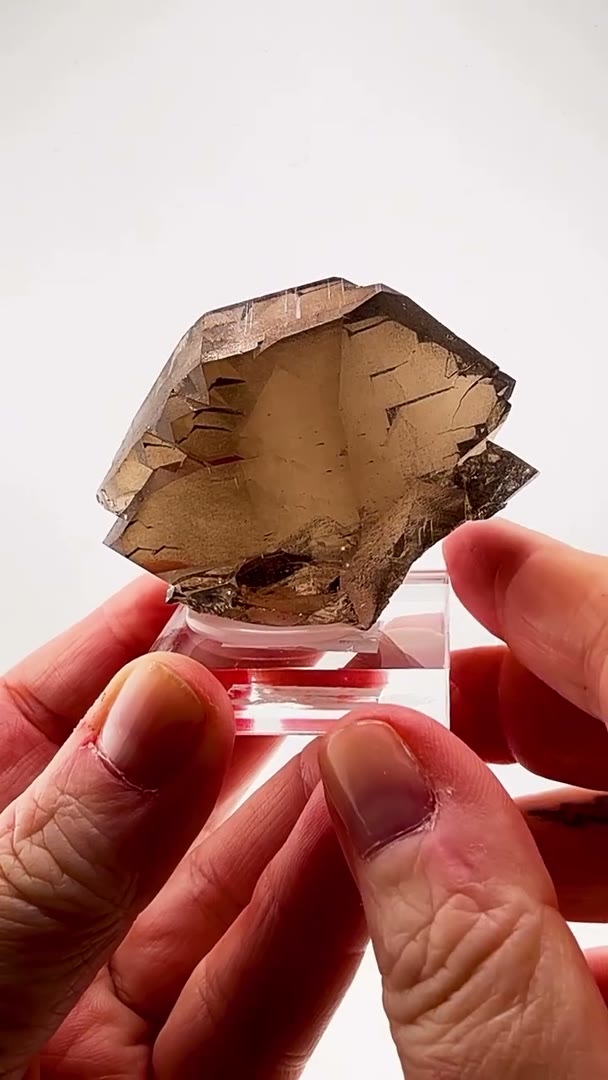 The Alpine twist that has fascinated collectors for generations