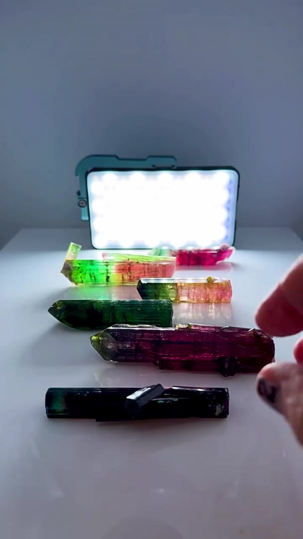 TOURMALINE ROYALTY — WHAT A LINEUP
