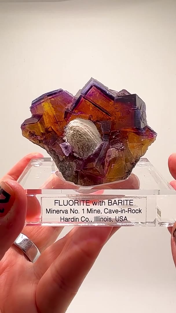 NOW THIS IS THAT NEXT-LEVEL, COLLECTOR-GRADE SPECIAL