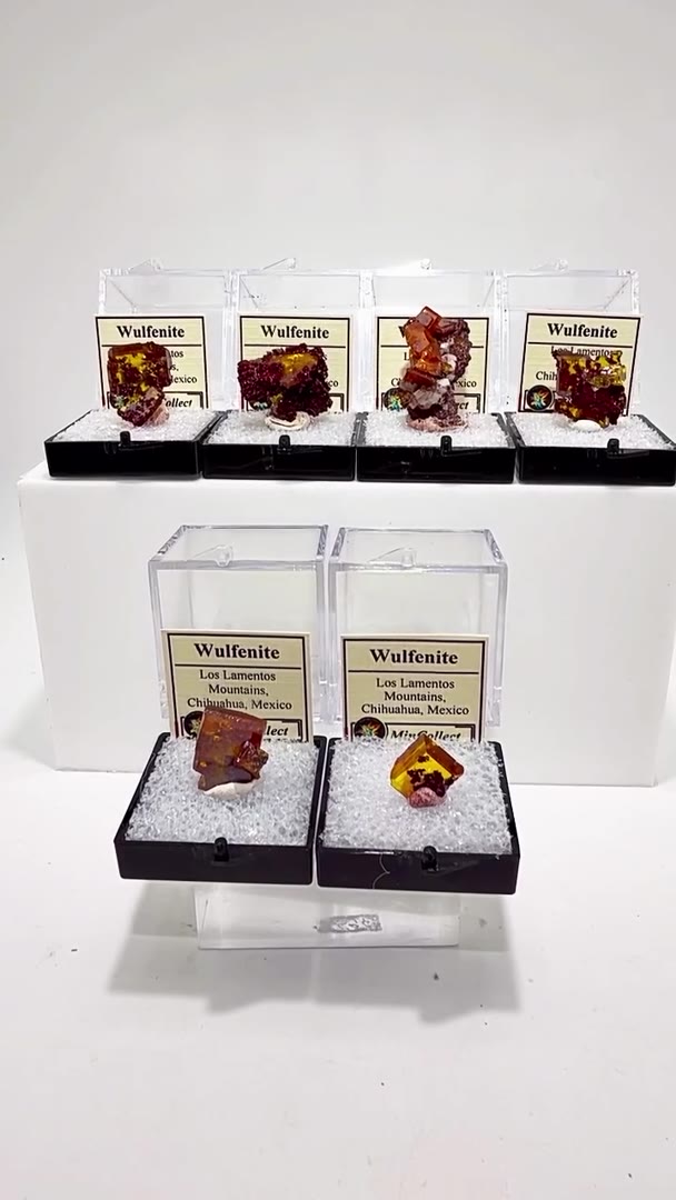 SIX LITTLE WULFENITE BANGERS — STRAIGHT OUT OF MEXICO