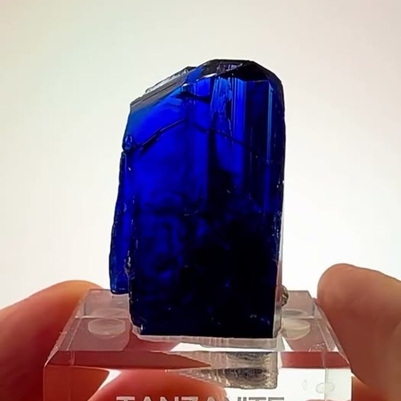 Royal Blue Royalty