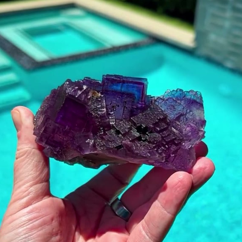 Poolside perfection